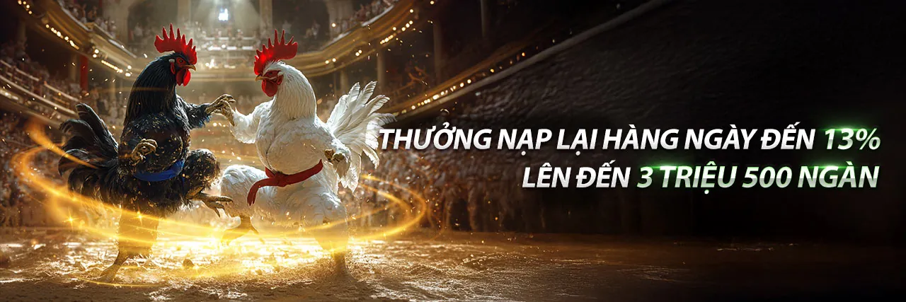 Hình ảnh một trận đá gà kịch tính trên nền tảng HY88, thể hiện sự chuyên nghiệp và uy tín của nhà cái, với tông màu cam đen chủ đạo.
